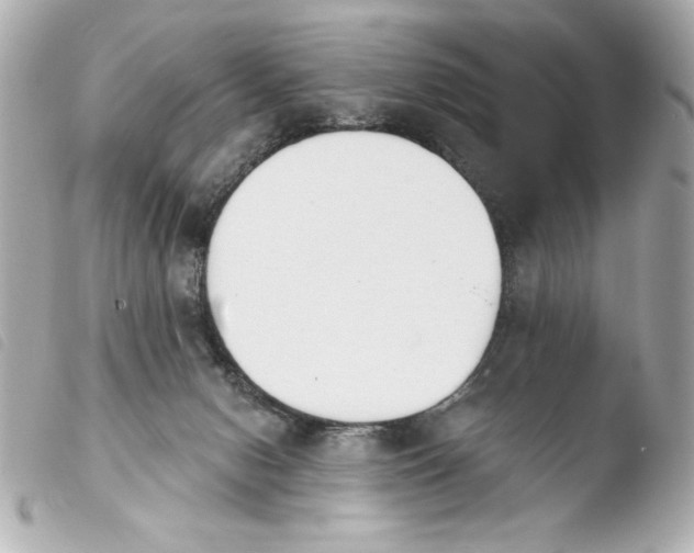 X0000103930078200810031309