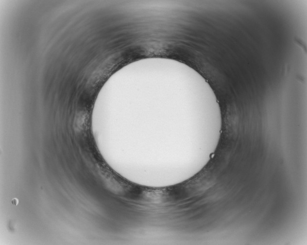 X0000103930079200810031309