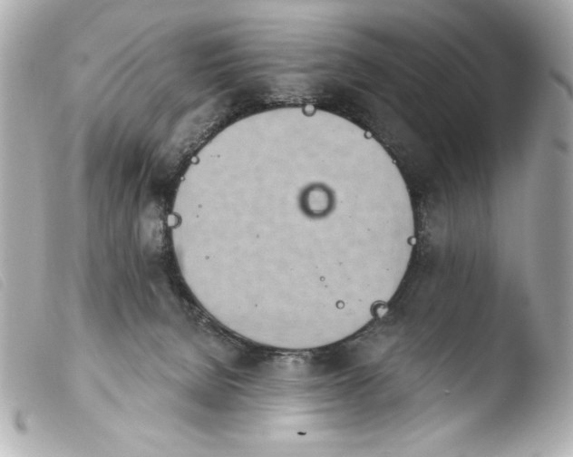 X0000103930080200810031309