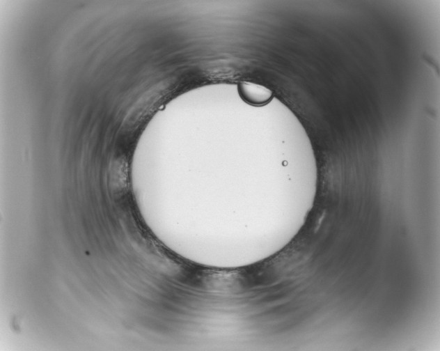 X0000103930081200810031309