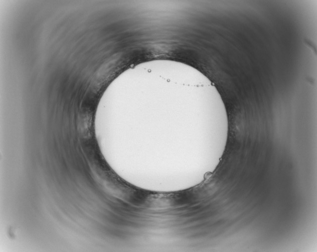 X0000103930082200810031309