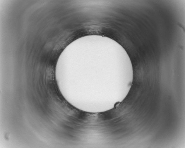 X0000103930083200810031309