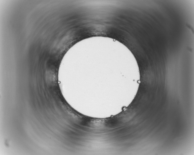 X0000103930084200810031309