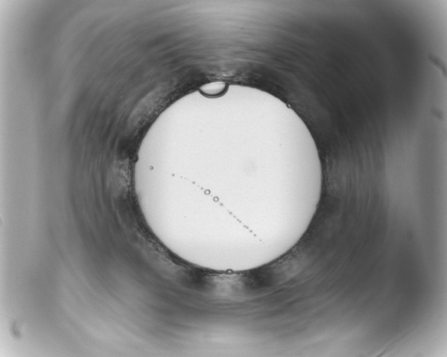 X0000103930085200810031309