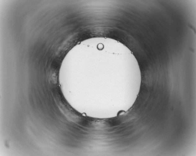 X0000103930086200810031309