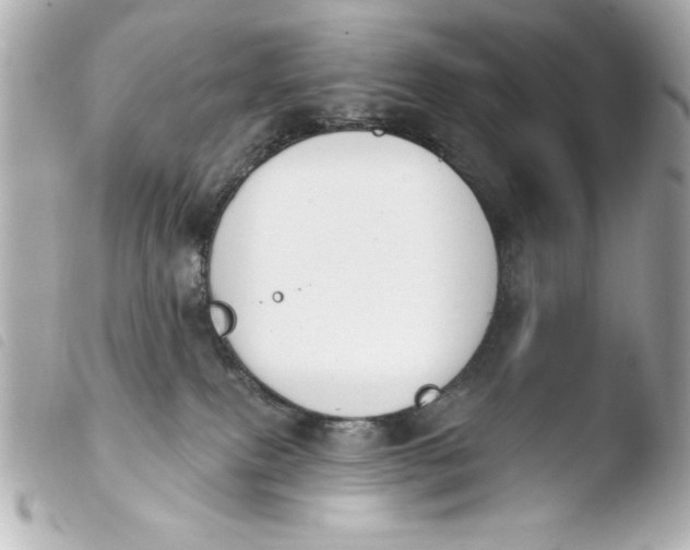 X0000103930087200810031309