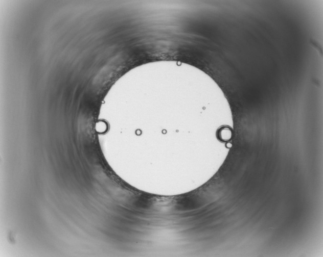 X0000103930088200810031309