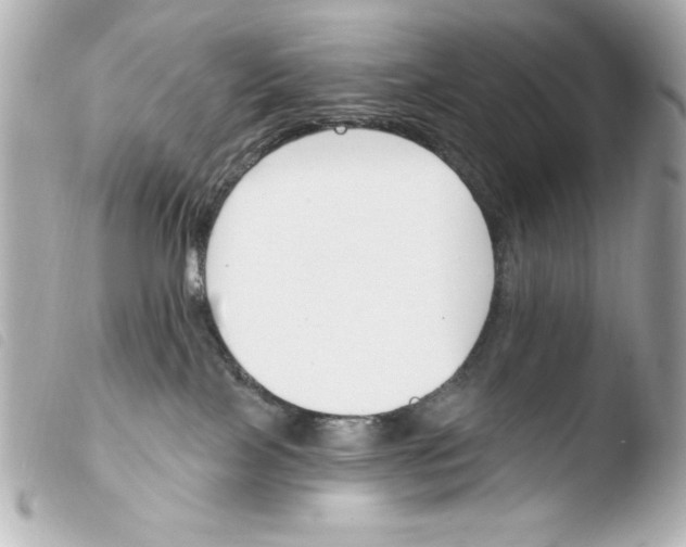 X0000103930089200810031309