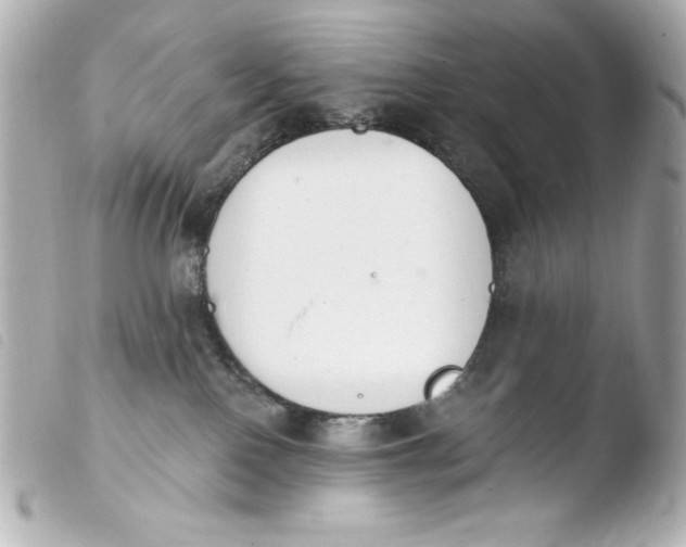 X0000103930090200810031309