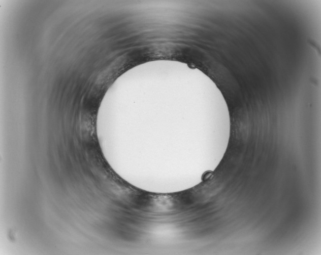 X0000103930091200810031309