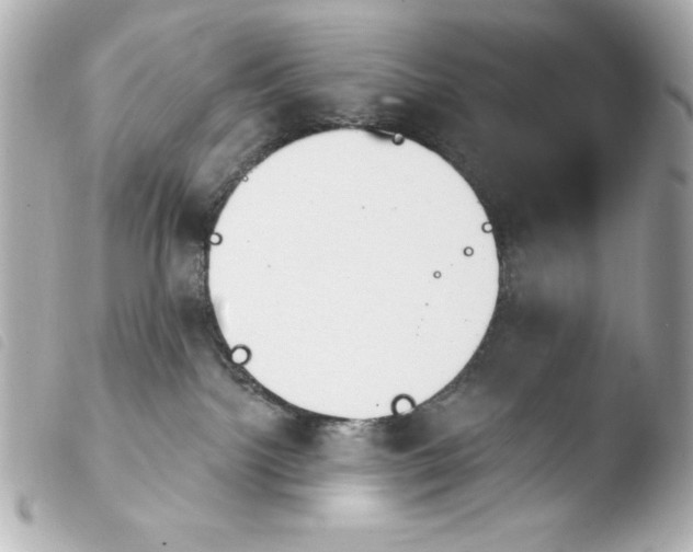 X0000103930092200810031309