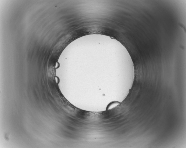 X0000103930093200810031309