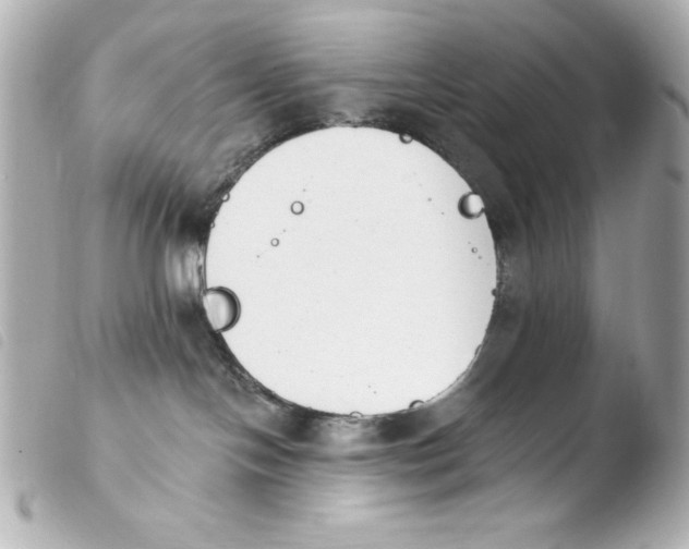 X0000103930094200810031309