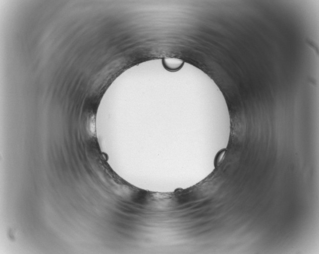 X0000103930095200810031309