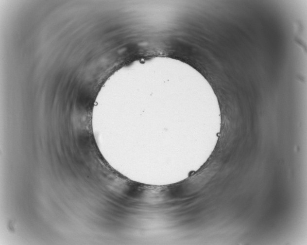 X0000103930096200810031309