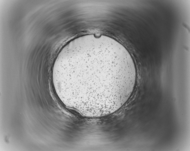 X0000103930097200810031308