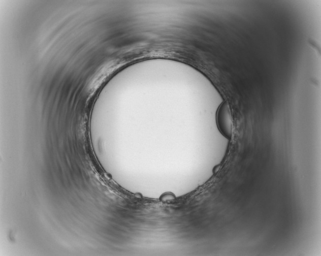 X0000103930098200810031308