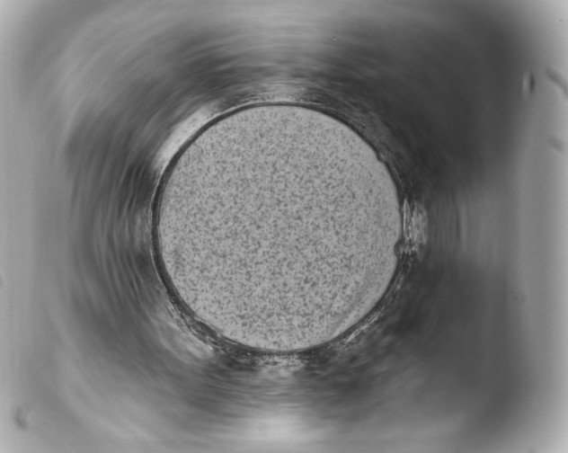 X0000103930099200810031308