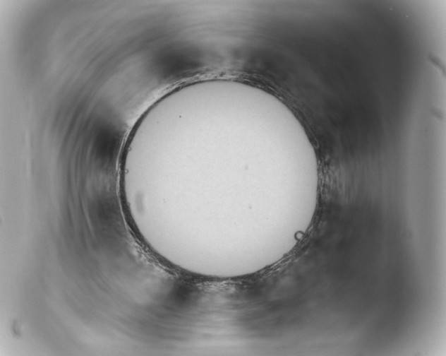 X0000103930100200810031308