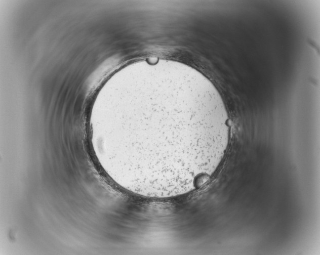 X0000103930101200810031308