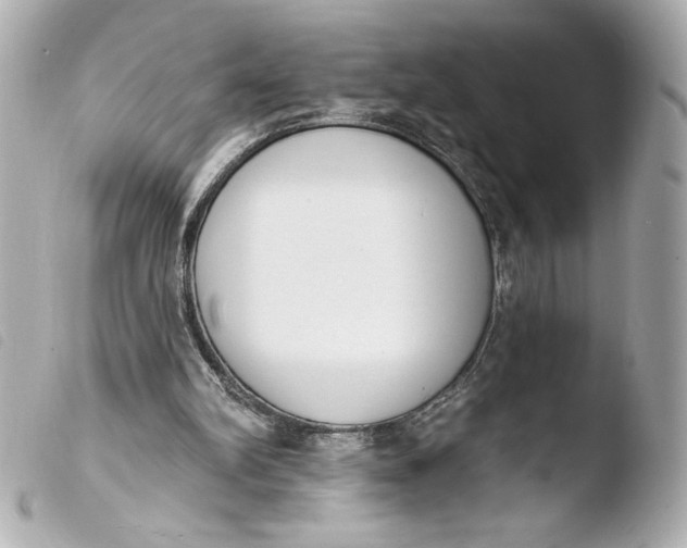 X0000103930102200810031308