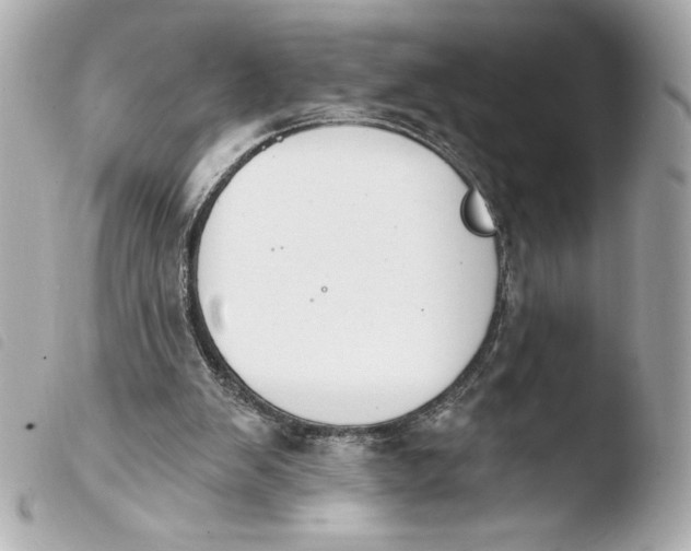 X0000103930103200810031308