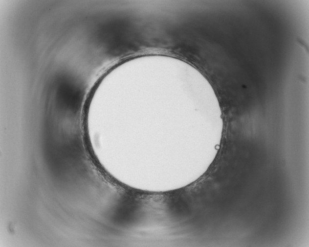 X0000103930104200810031308