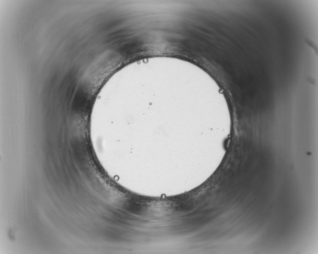 X0000103930105200810031308