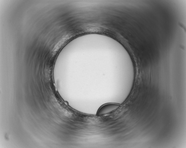 X0000103930106200810031308