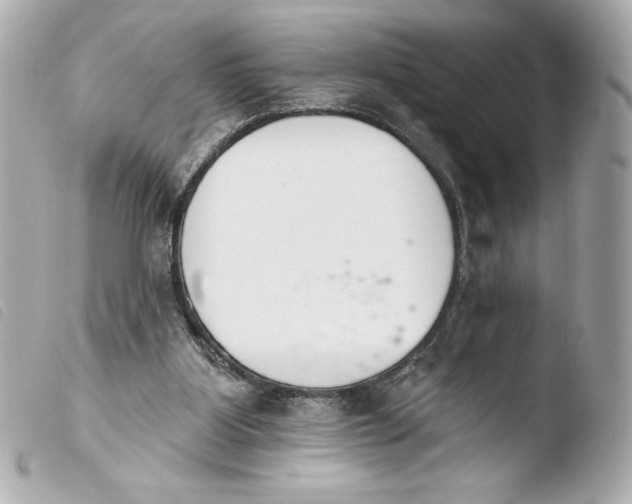 X0000103930107200810031308