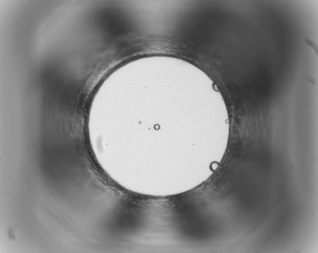 X0000103930108200810031308