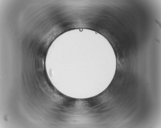 X0000103930109200810031308