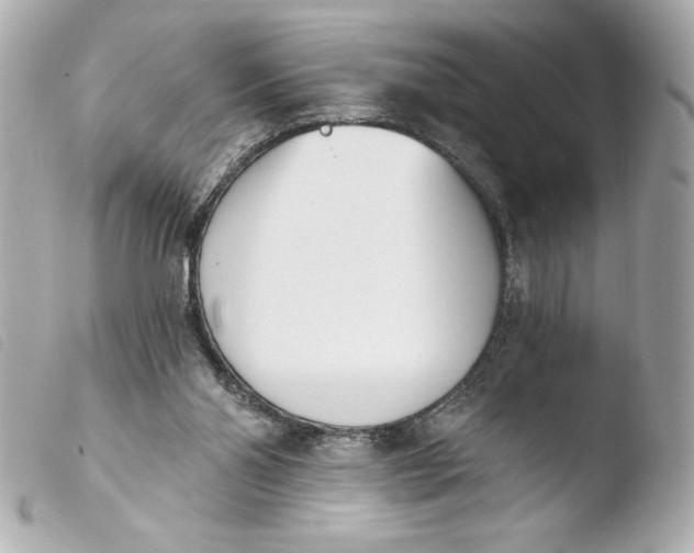 X0000103930110200810031308