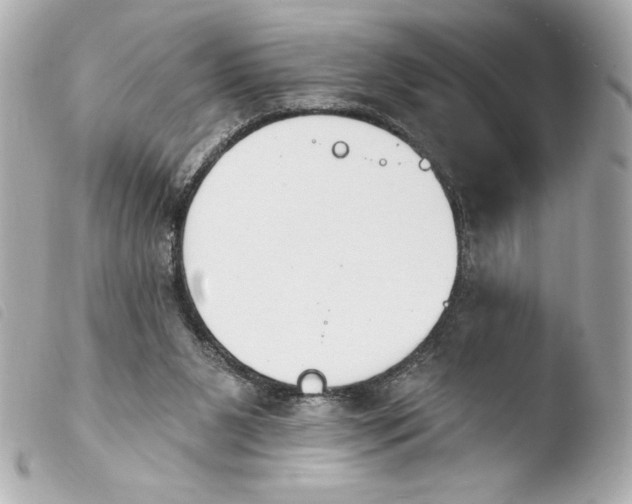 X0000103930111200810031308