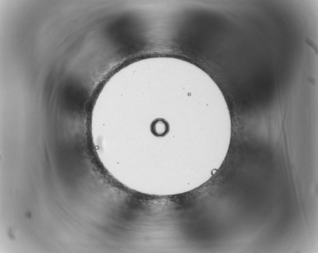 X0000103930112200810031308