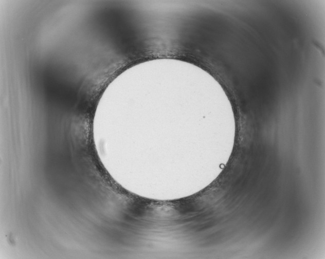 X0000103930113200810031308