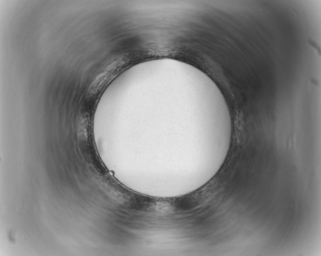 X0000103930114200810031308