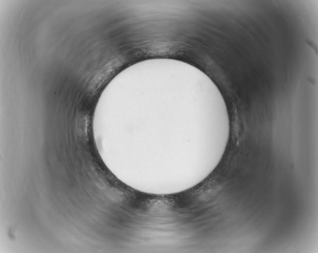 X0000103930115200810031308