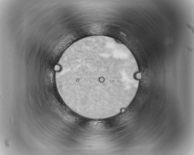 X0000103930117200810031308