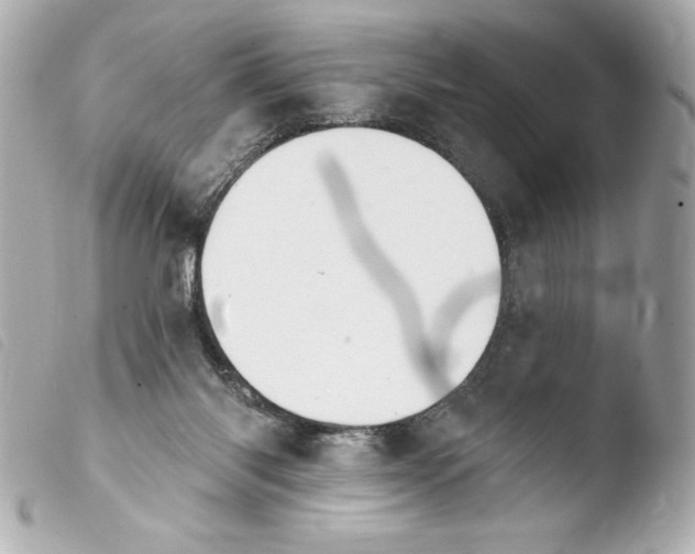 X0000103930118200810031308