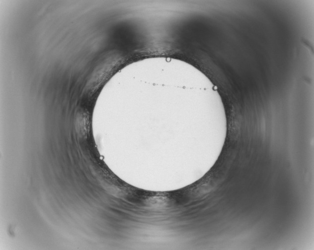 X0000103930119200810031308