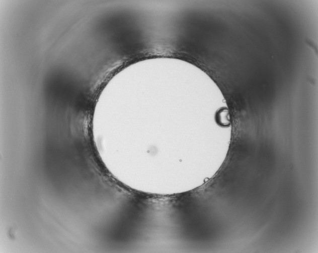 X0000103930120200810031308