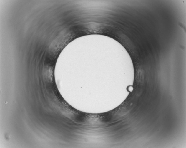 X0000103930121200810031308