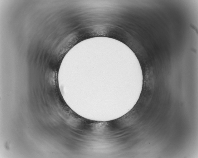 X0000103930122200810031308