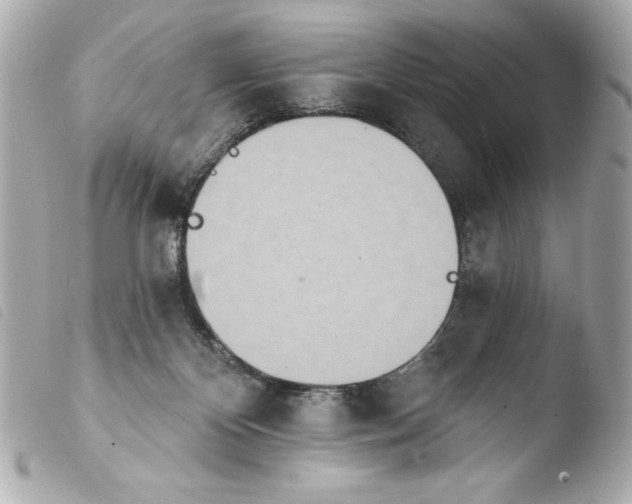 X0000103930124200810031308