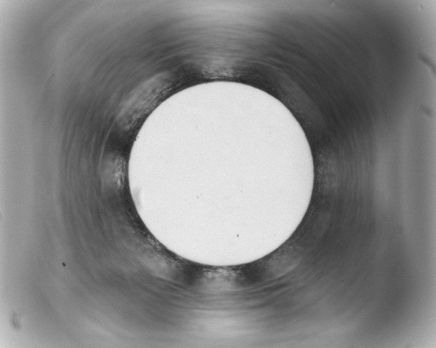 X0000103930125200810031308