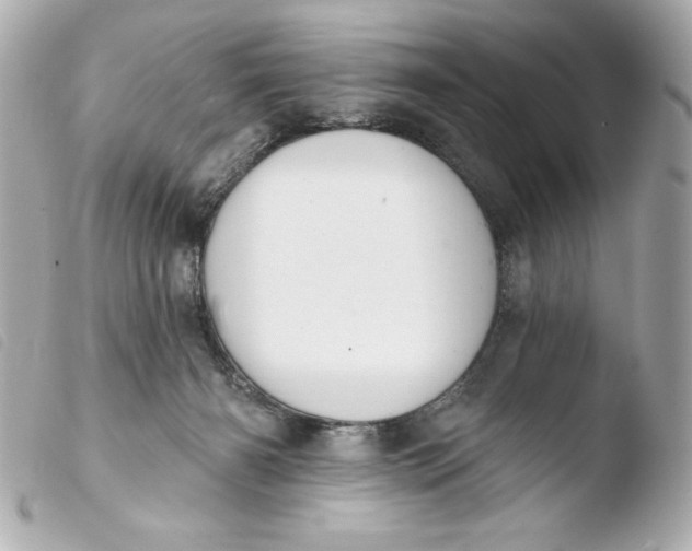 X0000103930126200810031308