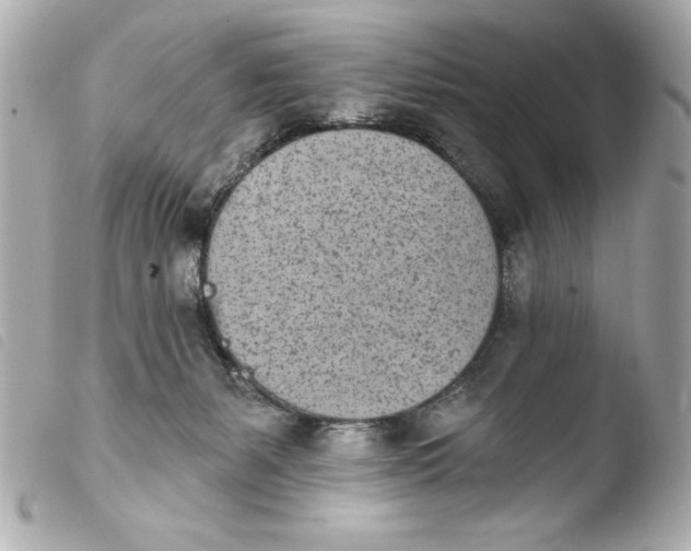 X0000103930127200810031308