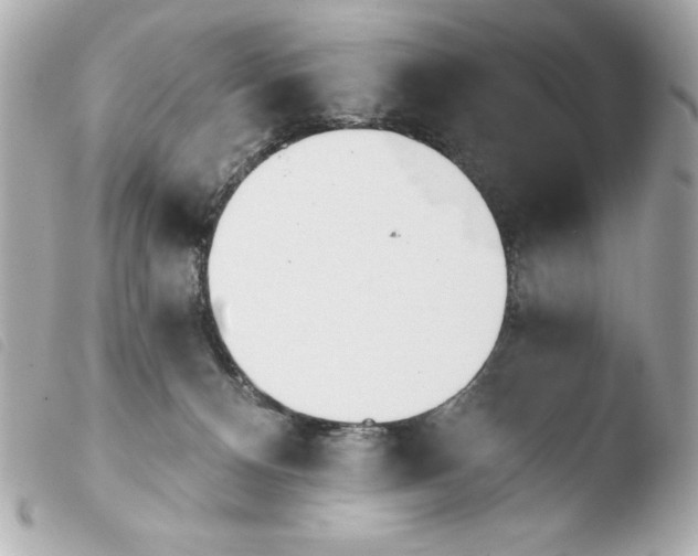 X0000103930128200810031308