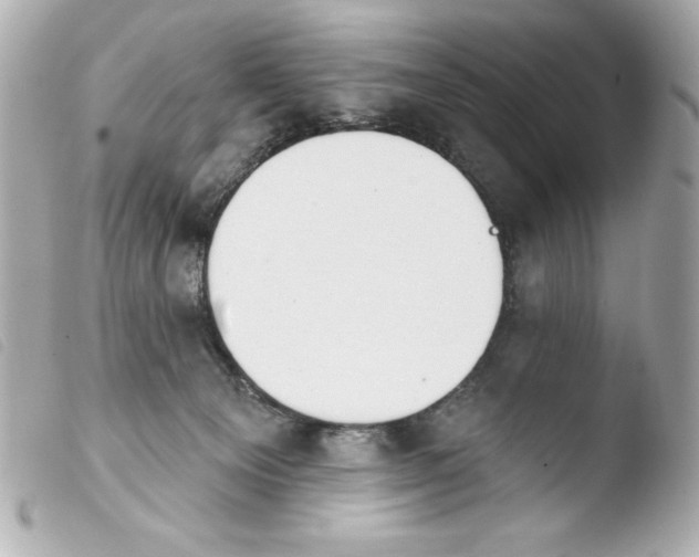 X0000103930129200810031308